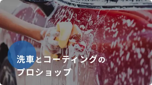洗車の王国メイン画像