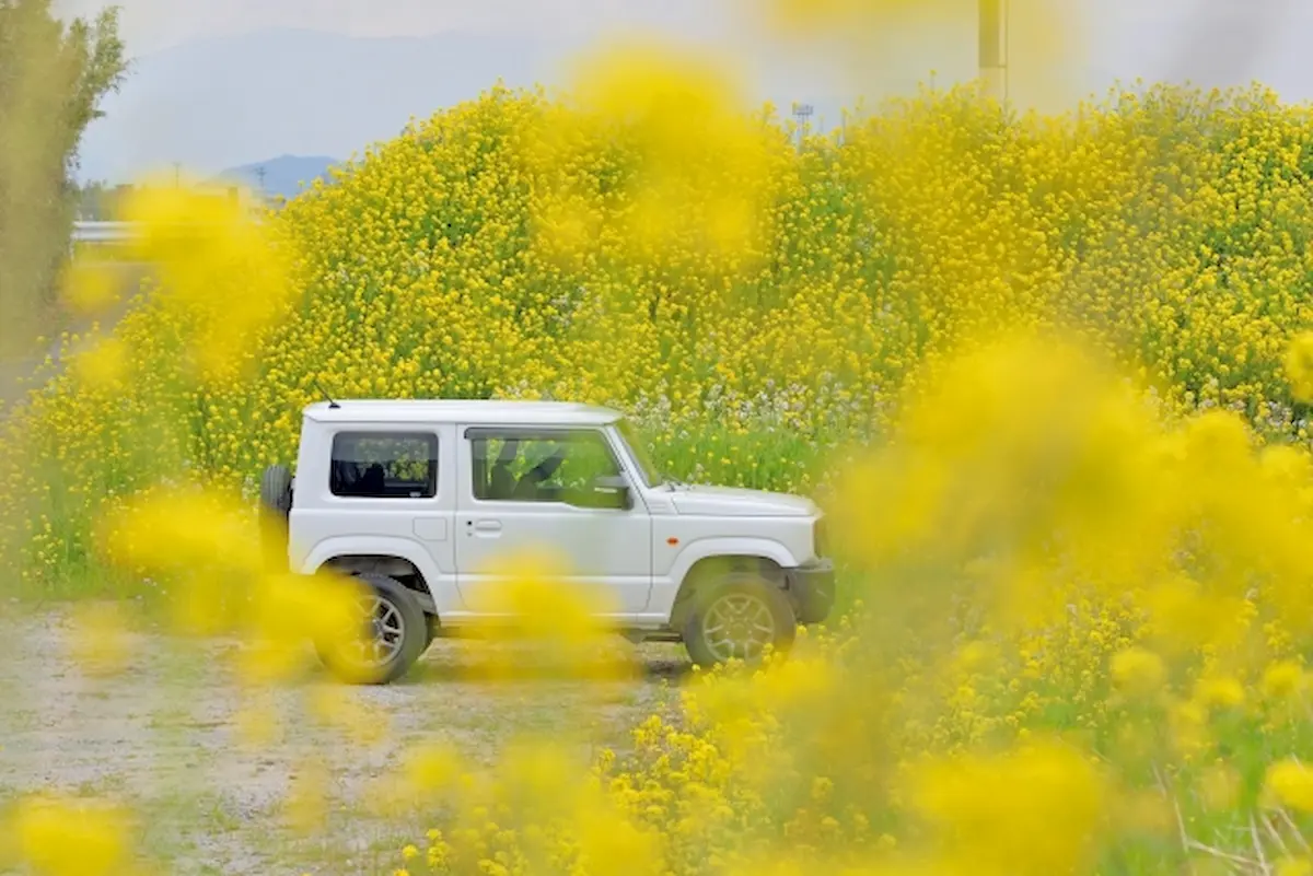 お得に自動車が手に入る登録済未使用車とは？