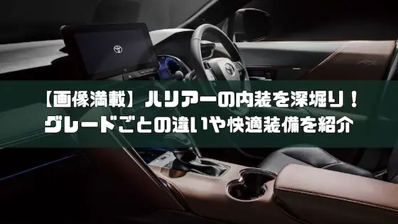 未使用 車 内装品 ボタン付き 黒