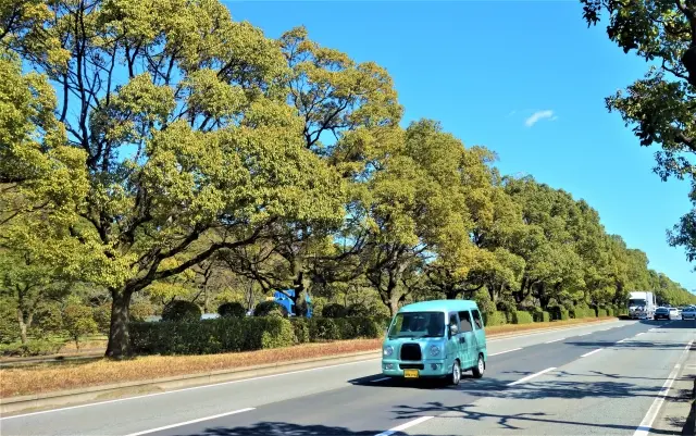 小さい車